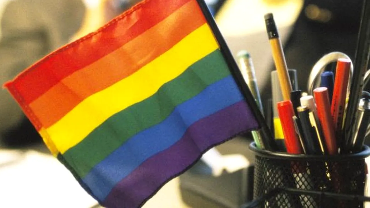 Unul din patru elevi de liceu români consideră că homosexualii sunt 