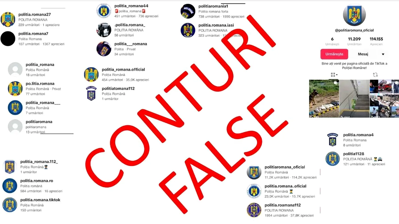 MAE a ELIMINAT peste 160 de conturi de TikTok care utilizau ilegal însemnele Poliției Române