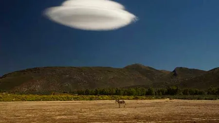 15 imagini inedite care îți vor face ziua mai frumoasă. Prima este MINUNATĂ