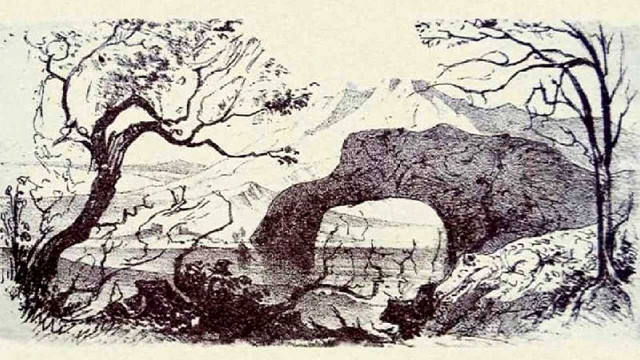 TEST IQ | Câte animale vezi în această iluzie optică? Geniile le găsesc pe toate în 15 secunde!