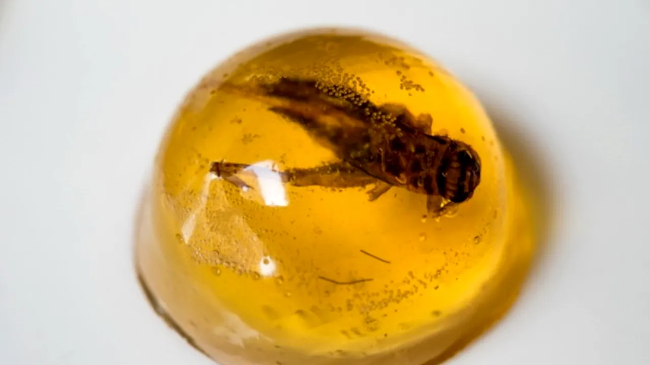 MEDIAFAX ZOOM. Bucătăria asiatică. GALERIE FOTO