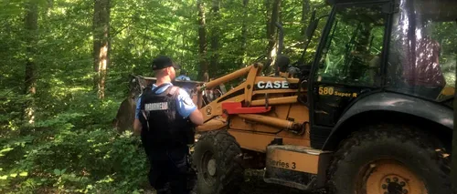 Incident cu final fericit: Un urs găsit prins într-un laț a fost eliberat în pădure - VIDEO
