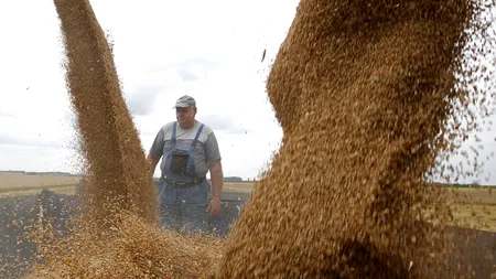 Polițiștii din Timiș au confiscat peste o sută de tone de cereale și au dat amenzi de 5.000 de lei