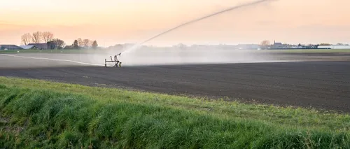 O țară vecină importă apă din România pentru irigații. Culturile românilor, în schimb, sunt distruse din cauza secetei
