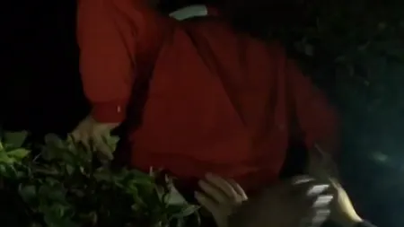 Mircia Muntean, găsit ascuns în boscheți după ce a provocat un accident, își cere scuze într-o scrisoare deschisă: 