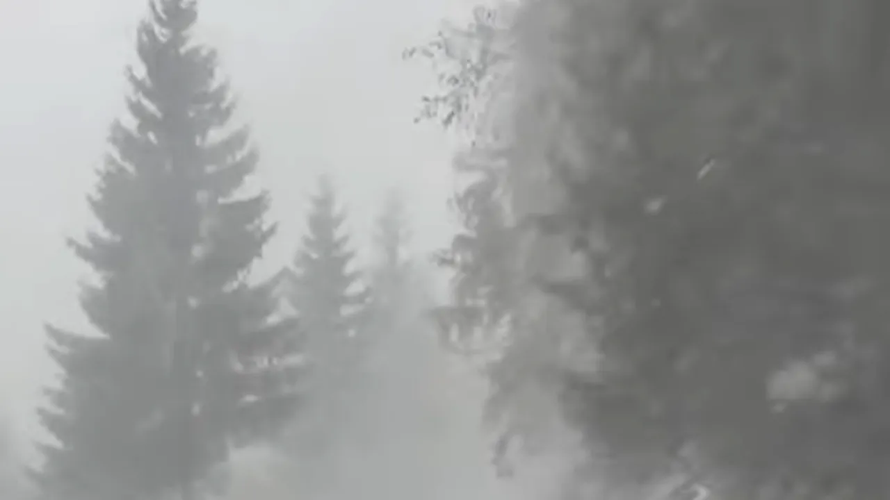 „Iarna autentică”. Cât durează valul de ninsori, viscol și polei în România