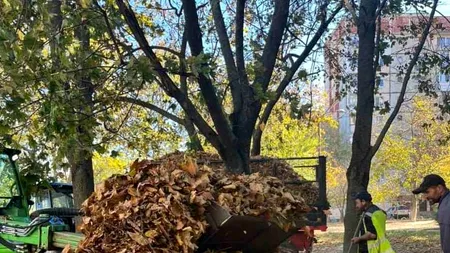 (P) SALUBRIZARE Sector 5: Reciclarea și colectarea selectivă, esențiale pentru protejarea mediului în sezonul de toamnă
