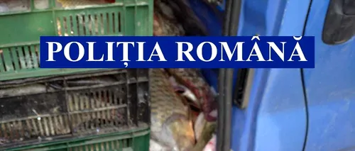 VIDEO. Polițiștii din Delta Dunării au confiscat peste 780 de kilograme de pește proaspăt