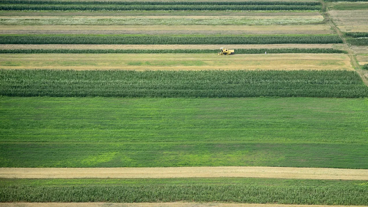 Cât pământ pot cumpăra străinii în România. Guvernul a pregătit o lege specială