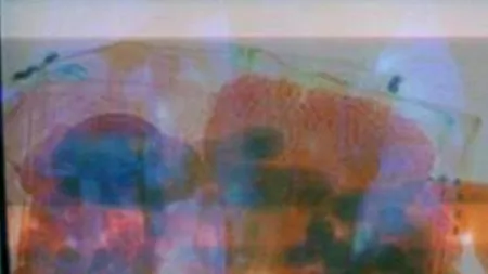 Doi părinți au încercat să intre în Emiratele Arabe Unite cu bebelușul ascuns în bagaj