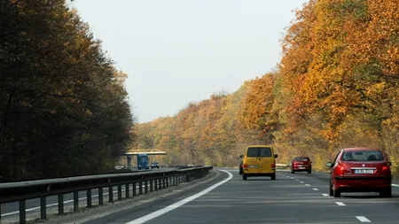 CNADNR a anunțat companiile interesate de construirea autostrăzii Craiova-Pitești. Între ele - Strabag, Vinci și firmele lui Dorinel Umbrărescu