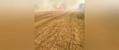 Incendiu puternic în județul Alba. Flăcările s-ar putea extinde | VIDEO
