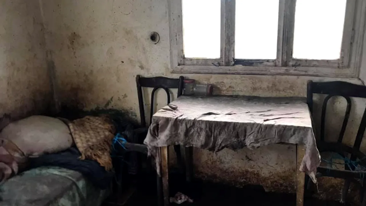 O bătrână a fost găsită inconștientă în propria casă, într-o mizerie cruntă și cu 17 câini înfometați - FOTO