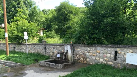 E.Coli la un izvor public de la care luau apă și oameni din Pitești