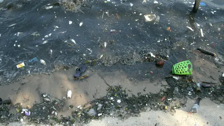 Cât de mare este pericolul apelor contaminate din Rio de Janeiro. Ce pățesc înotătorii și cei care înghit apă?