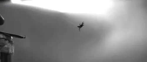 VIDEO. Cum zboară în realitate păianjenii