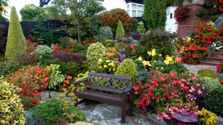 Pare o casă normală, dar are un secret incredibil: Mii de turiști vin anual să o vadă - VIDEO