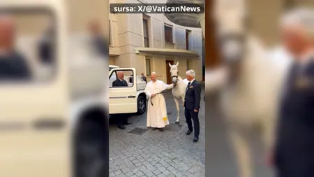 Cadoul unui polonez pentru Papa Leon al XIV-lea: PROTON, un cal pur-sânge arab. Darul, inspirat de o fotografie cu Papa în Peru