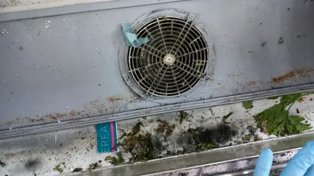 Rugină și mizerie, păstrate la rece, în niște magazine din Caraș Severin/Comisar ANPC: 