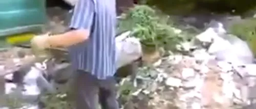 O pădure din Apuseni, groapă de gunoi. Un șofer surprins în timp ce aruncă o remorcă plină de moloz: Rușine să vă fie - VIDEO