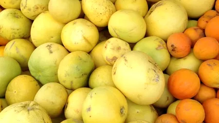 Ministrul Agriculturii: 