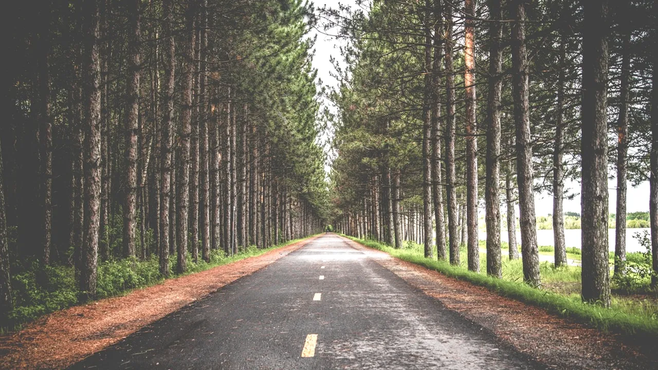 CNADNR anunță restricții de circulație de Paște. Ce amenzi riscă șoferii care nu le respectă