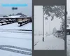 Mai multe oraşe din estul Australiei au fost acoperite de cel mai gros strat de ZĂPADĂ din ultimele decenii