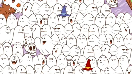 TEST de inteligență pentru genii: găsește ursulețul de pluș din fotografie