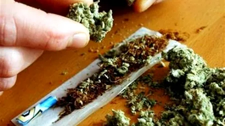 Consumul de marijuana ar putea fi cauza creșterii sânilor la bărbați