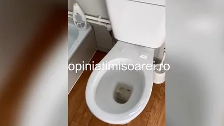 VIDEO. Un bărbat venit din Anglia, revoltat de condițiile găsite la centrul de carantină: „Nu am radio, televizor, frigider, ventilator. E jeg”