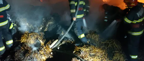 VIDEO | Incendiu la o hală din Vrancea. 8 ore s-au chinuit pompierii să stingă flăcările