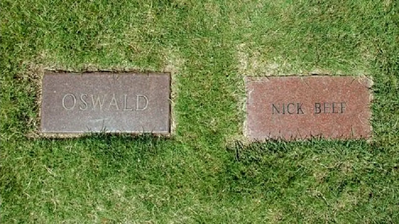 New York Times rezolvă misterul „vecinului