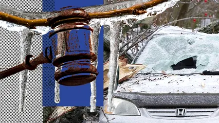 EXCLUSIV | Autoritățile locale sunt responsabile pentru copacii căzuți pe mașini după prăpădul de la ploaia înghețată din 2019. Cum a reușit un bucureștean să recupereze daunele și să demonstreze că ADP Sector 6 nu și-a făcut treaba - FOTO