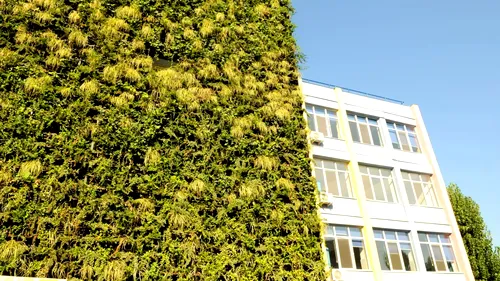 Cum arată primul liceu din București cu grădină pe… perete! GALERIE FOTO