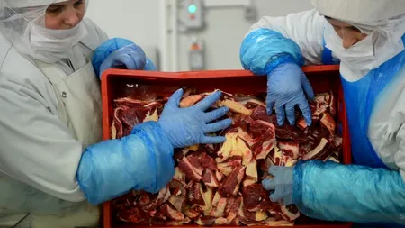 NestlÃ© retrage din Spania și Italia produse conținând carne de cal