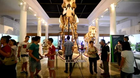 Program NOAPTEA MUZEELOR 2014. La ANTIPA, facem un „MuseumSelfie