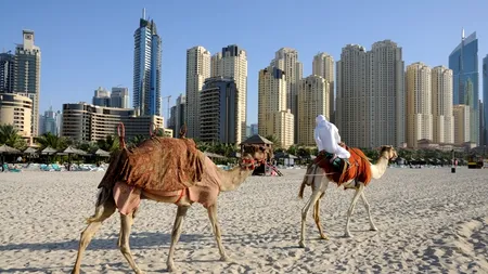 La început, ștergea mesele, însă i-a venit o idee pentru care șeicii din Abu Dhabi sunt dispuși acum să plătească sume generoase 