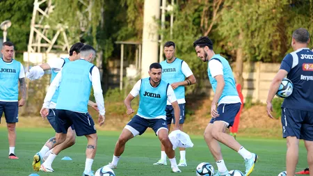 Au mai RĂMAS 48 de ore până la meciul România-Israel! Ce echipă va folosi Edi Iordănescu?