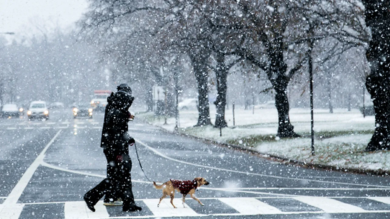 Europa, înghețată: minus 41 de grade în Finlanda, cea mai joasă temperatură înregistrată vreodată