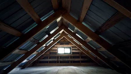 Ce a putut să descopere un bărbat din Marea Britanie într-o casă pe care a moștenit-o: „Erau sute. Nu ne venea să credem”