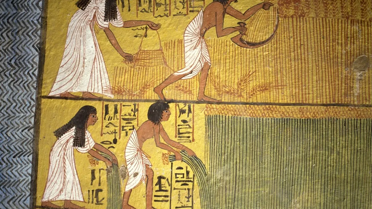 Ești stresat din cauza TAXELOR? Egiptenii antici sunt cei care le-au inventat din anul 3000 î.Hr.