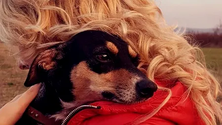 Povestea tinerei care a anunțat o recompensă de 1100 de euro pentru găsirea cățelușei sale: „Niiii câinele ăla cu bani mulți. E incredibil ce fac oamenii pentru bani