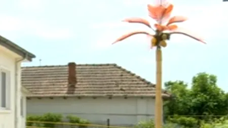 Prioritățile unui primar din România: Comuna sa nu are canalizare, dar a „dotat-o