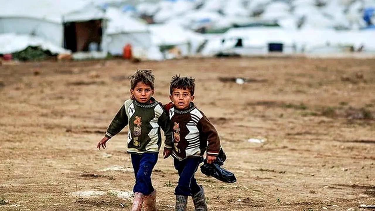 Olanda construiește o tabără de primire a imigranților într-o pădure