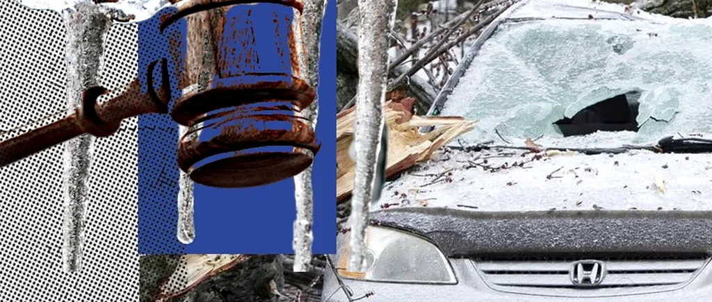 EXCLUSIV | Autoritățile locale sunt responsabile pentru copacii căzuți pe mașini după prăpădul de la ploaia înghețată din 2019. Cum a reușit un bucureștean să recupereze daunele și să demonstreze că ADP Sector 6 nu și-a făcut treaba - FOTO