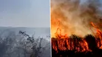 Incendiile de vegetaţie au apărut și în România. Ard 30 de hectare în Caraş-Severin