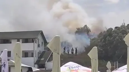 Ce trebuie să știe toți românii care stau la curte. Este strict interzis și amenda e uriașă. Mulți au plătit-o deja