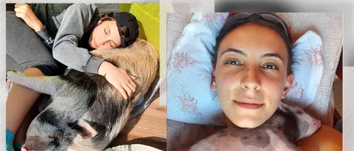 EXCLUSIV VIDEO | Singura purcelușă din România cu cont pe Instagram duce o viață de huzur. Are 120 de kilograme, căsuță de lux și se uită la filme