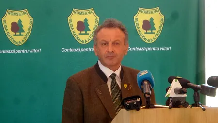 Locațiile incendiilor de pădure, monitorizate prin GPS de RNP - Romsilva