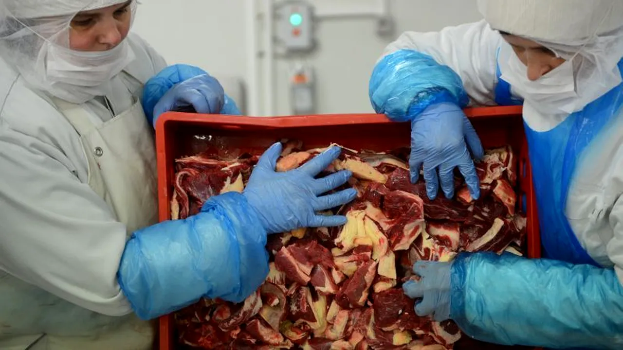 Carne de cal, descoperită în produse Auchan și lasagna El Corte Ingles